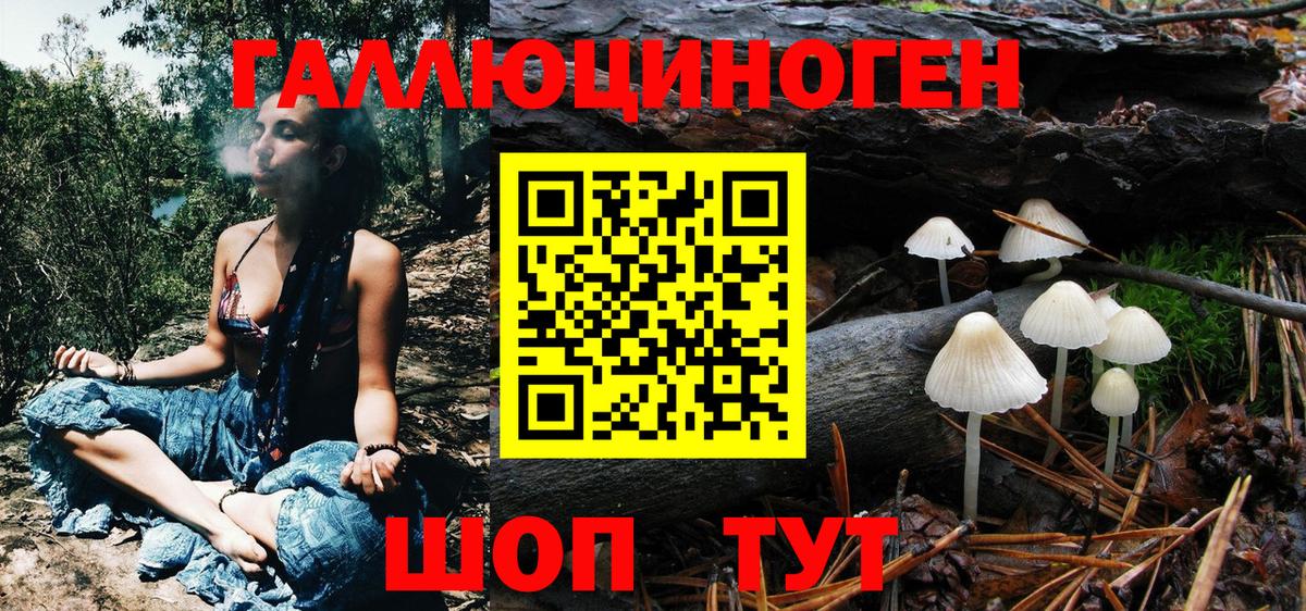 Волхов  Галлюциногенные грибы MAGIC MUSHROOMS  Вход с VPN 